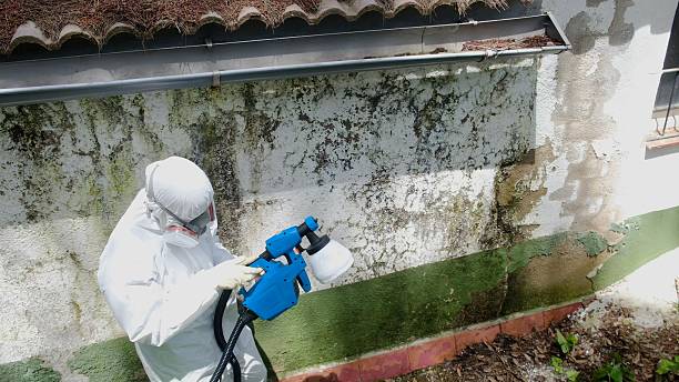 Trusted Bathroom Mold Removal service in Cassville, PA - Cheap Mold Removal